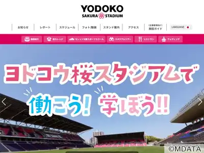 ヤンマーハナサカスタジアム