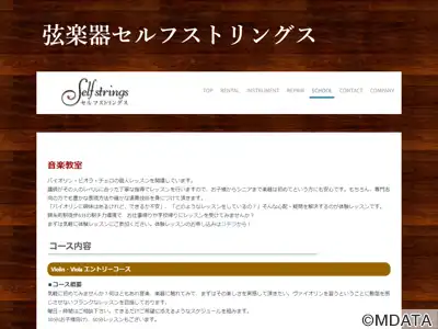 セルフストリングス音楽教室
