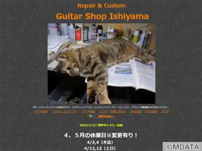 ギターショップイシヤマ