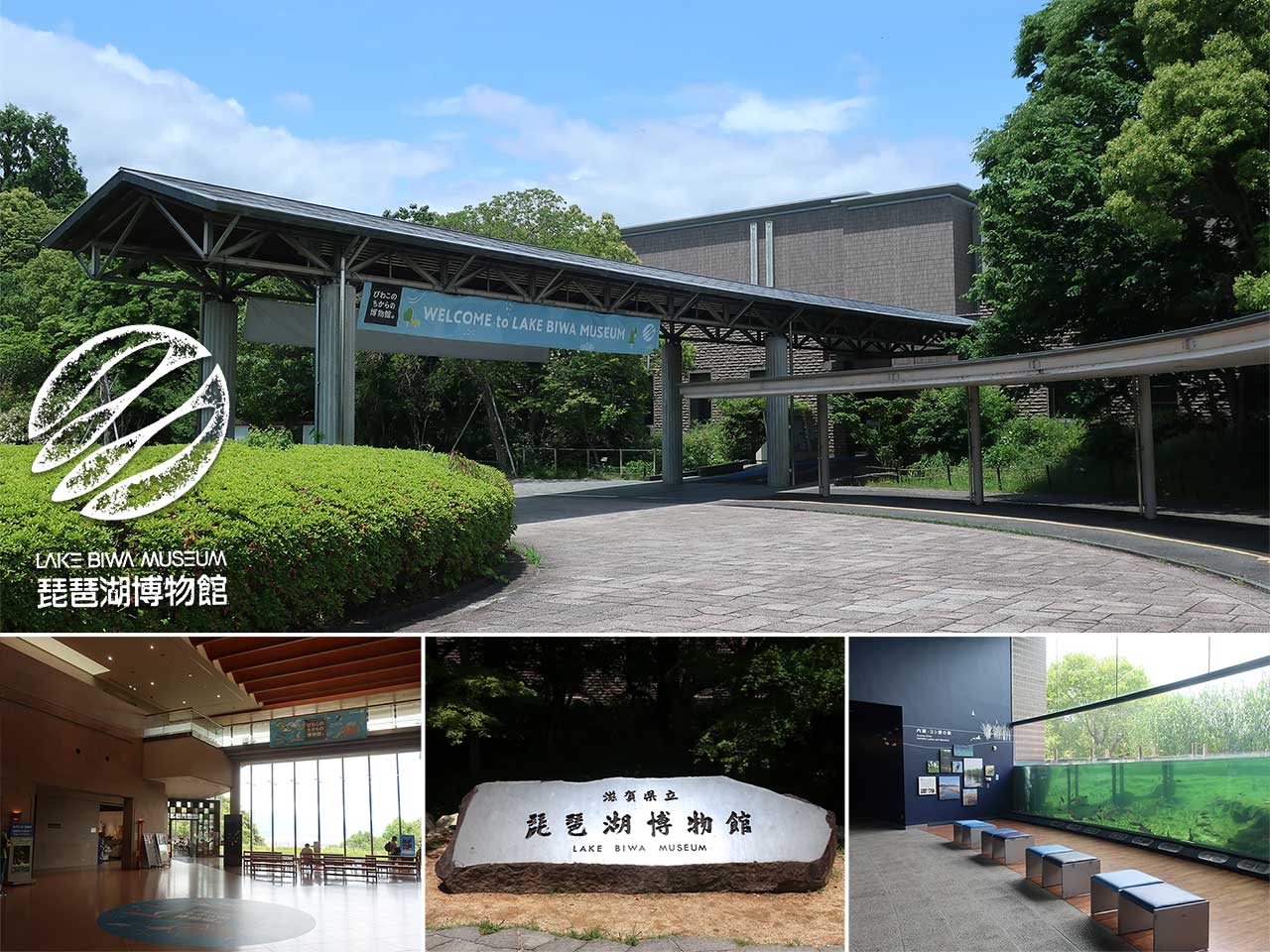 滋賀県立琵琶湖博物館の写真