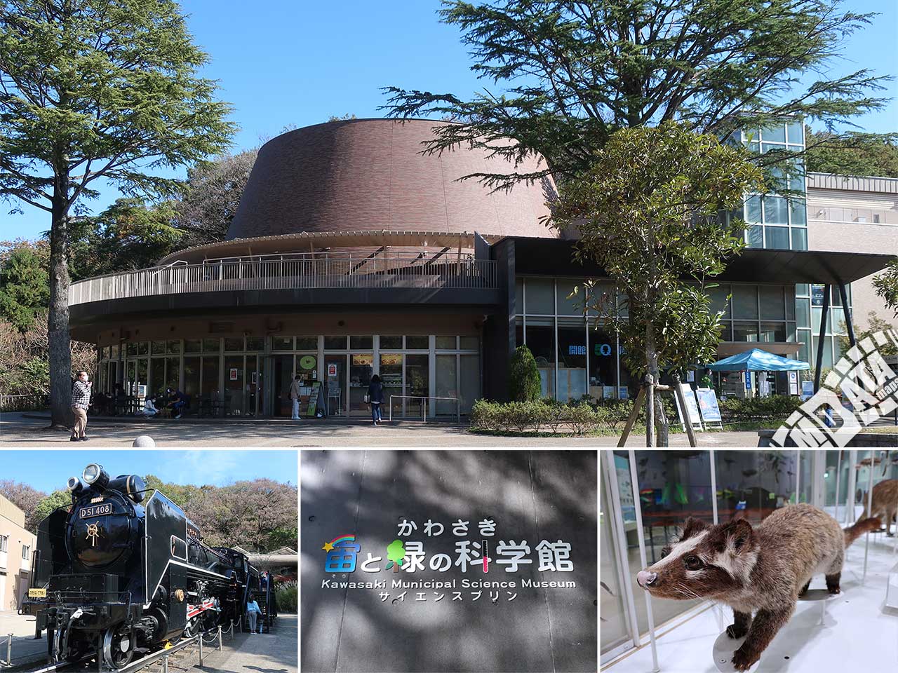かわさき宙(そら)と緑の科学館の写真 Photo taken on 2021/11/06