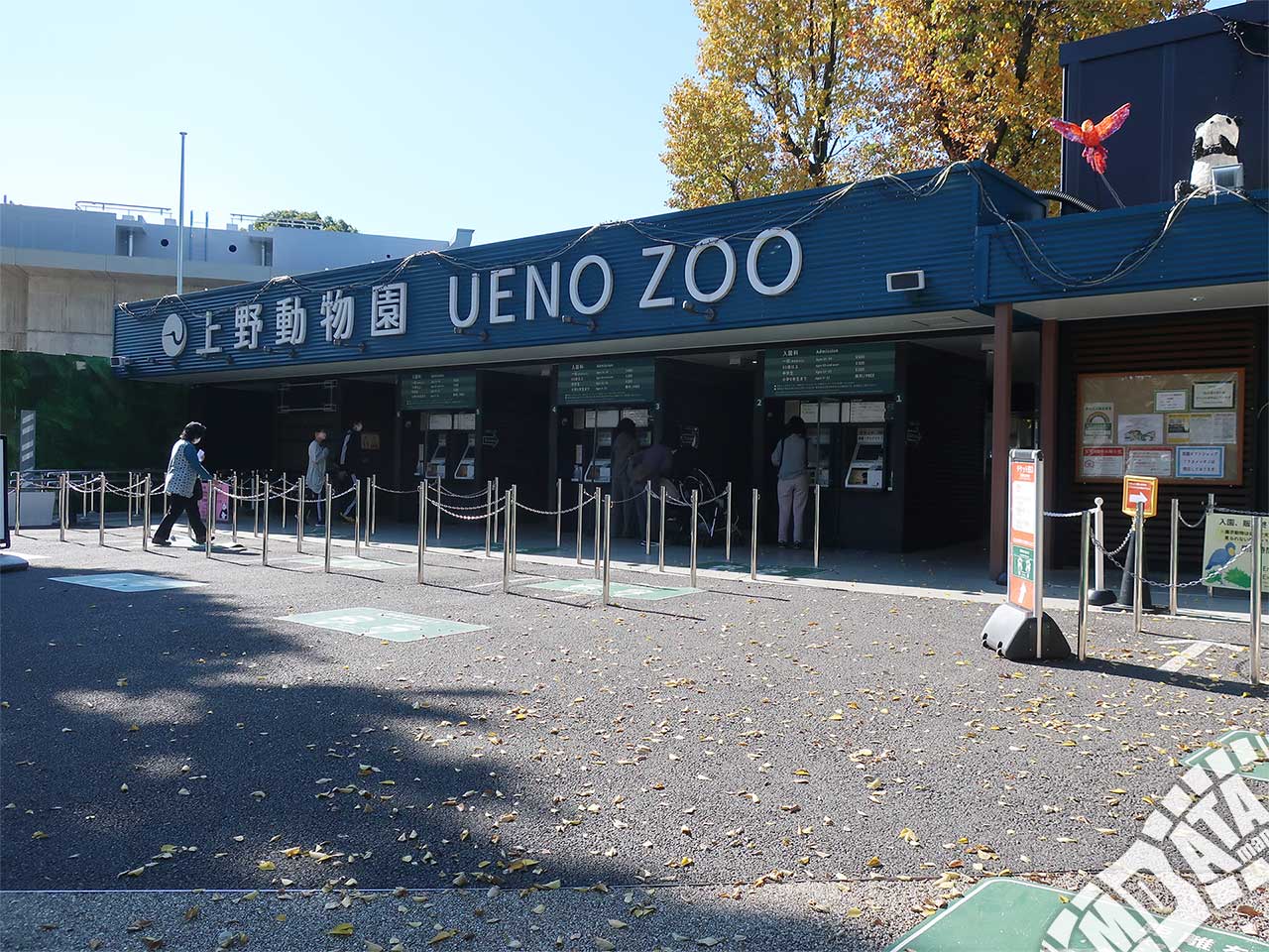 上野動物園の写真 Photo taken on 2021/11/04