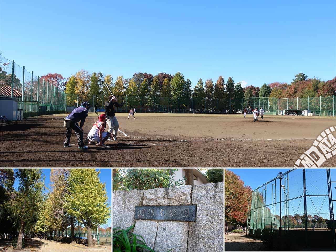羽根木公園野球場の写真 Photo taken on 2022/11/16