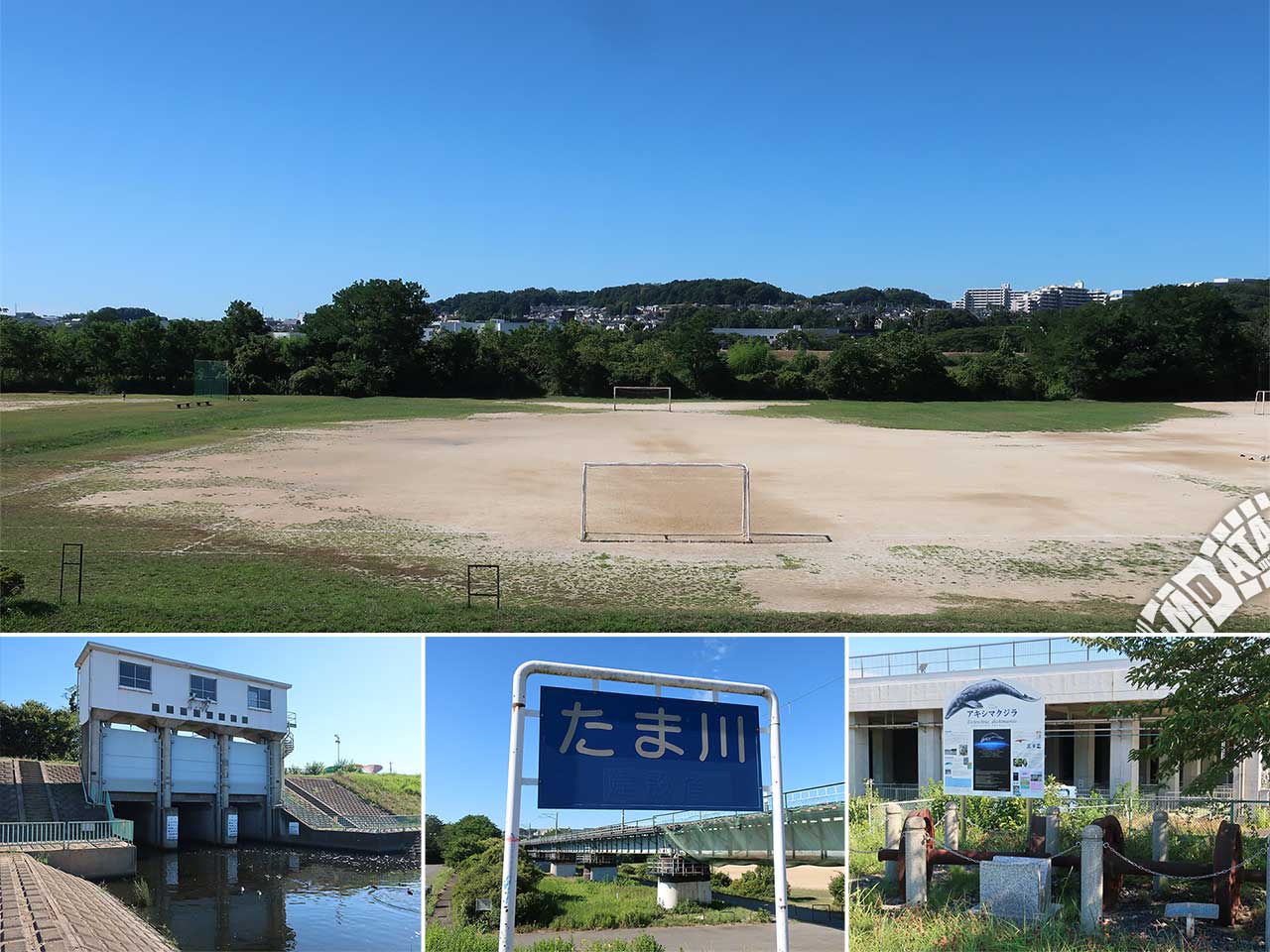くじら運動公園少年サッカー場の写真 Photo taken on 2023/08/04