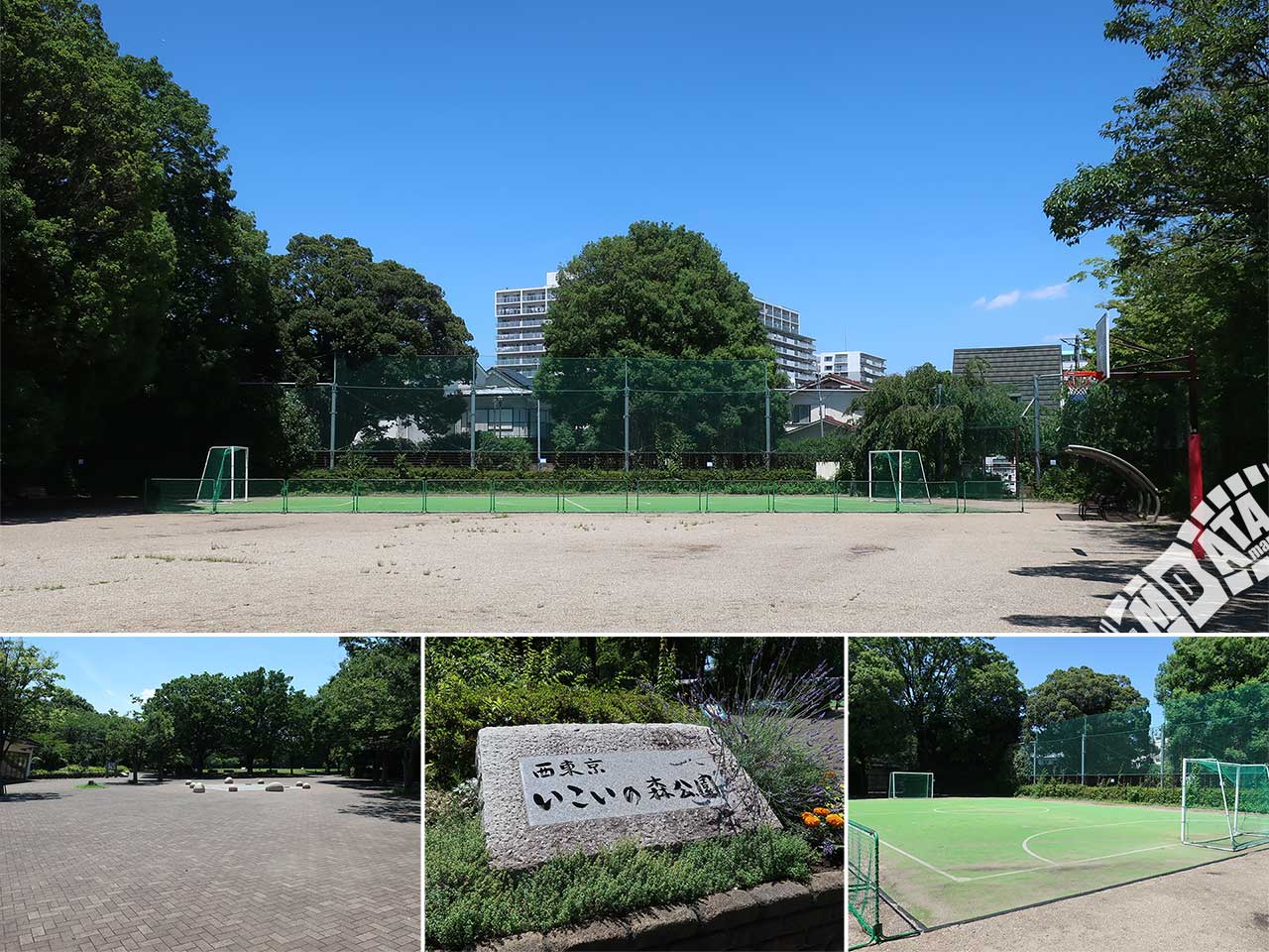 西東京いこいの森公園ボール広場の写真 Photo taken on 2024/06/19