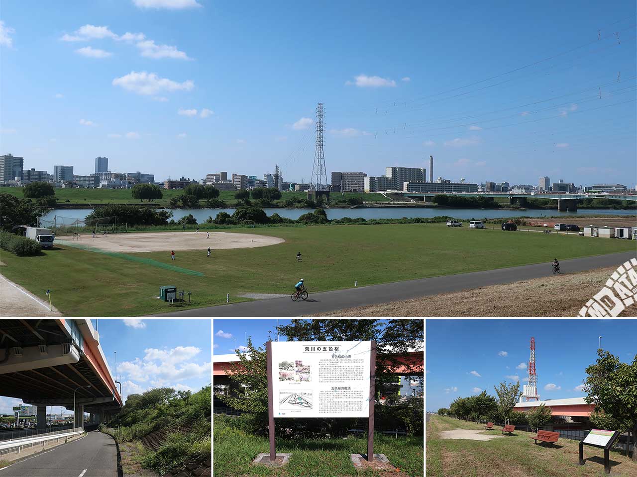 鹿浜橋緑地野球場の写真