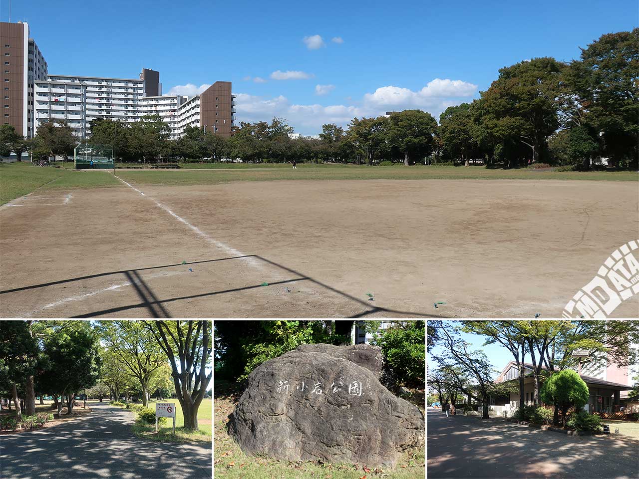 新小岩公園野球場の写真