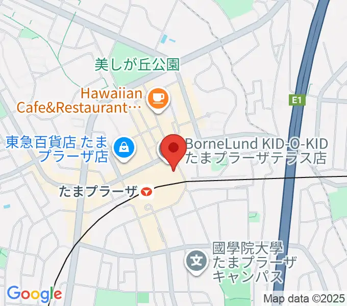 山野楽器 たまプラーザ テラス店の地図