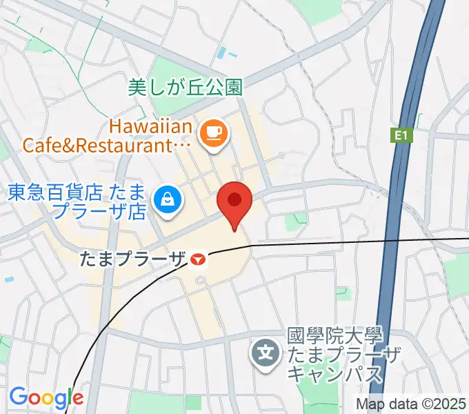 山野楽器 たまプラーザ テラス店の地図