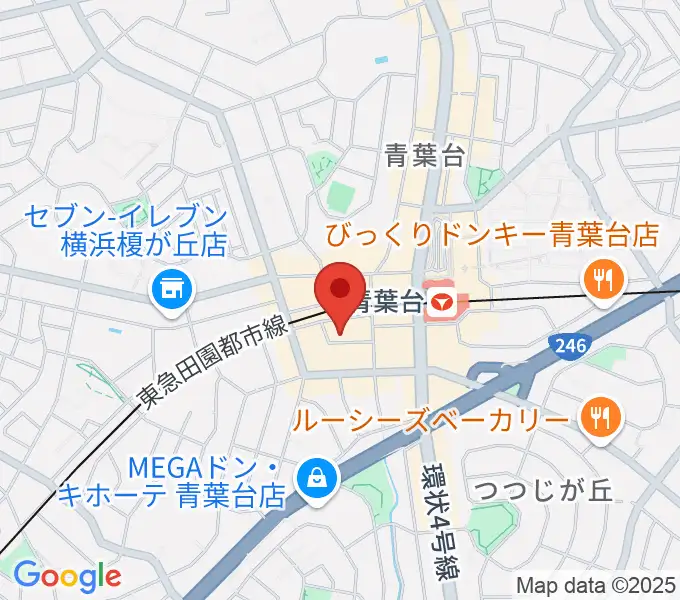 弦楽器サラサーテの地図