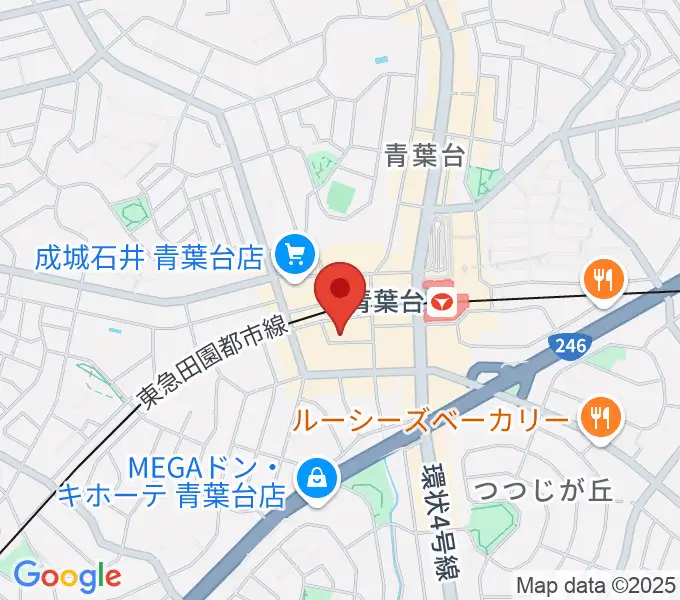 弦楽器サラサーテの地図