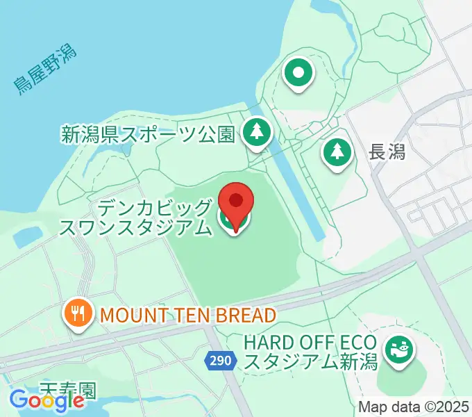 デンカビッグスワンスタジアムの地図