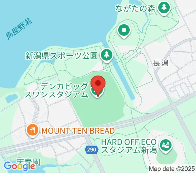 デンカビッグスワンスタジアムの地図