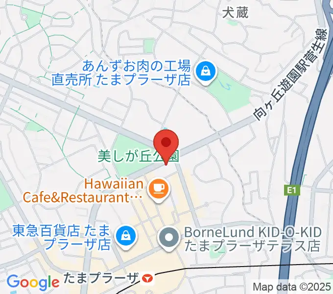 たまプラーザ STUDIO21の地図