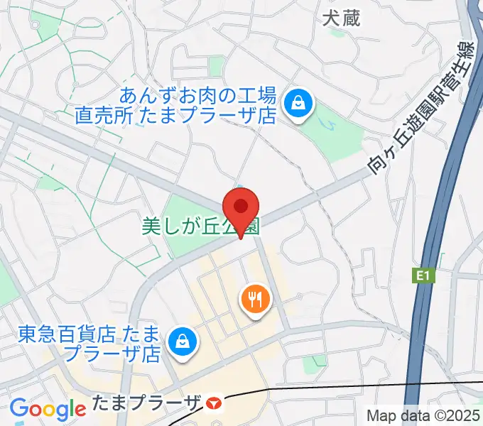 たまプラーザ STUDIO21の地図