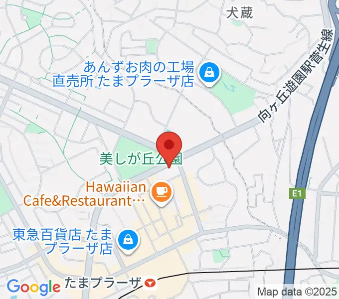 たまプラーザ STUDIO21の地図