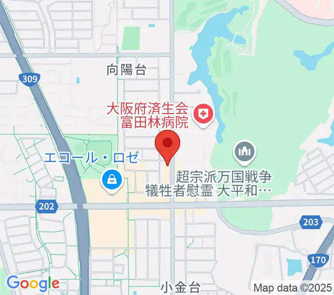 天理楽器 富田林店の地図