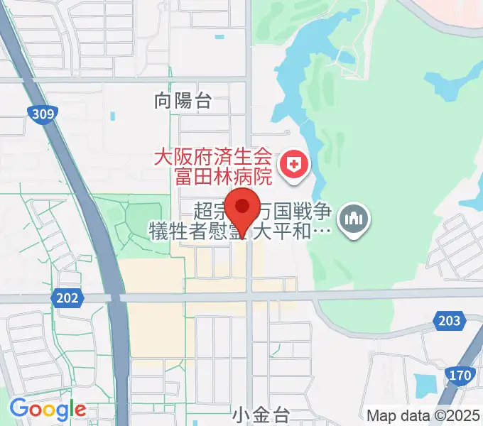 天理楽器 富田林店の地図