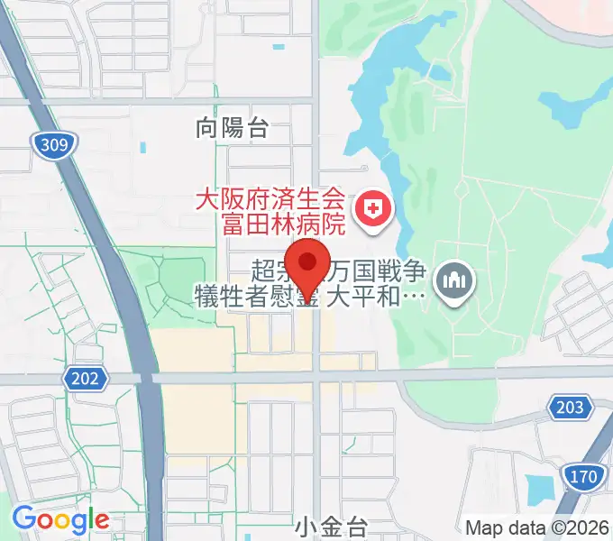 天理楽器 富田林店の地図