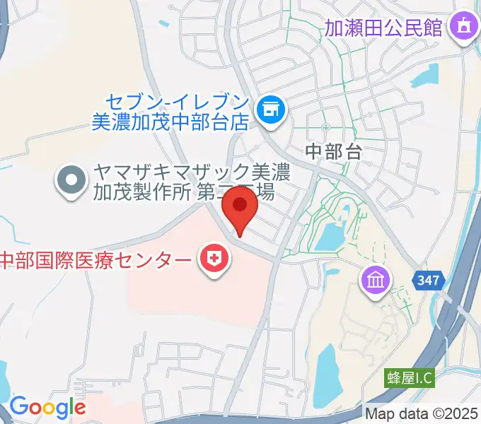 Ancestors Ukuleleの地図