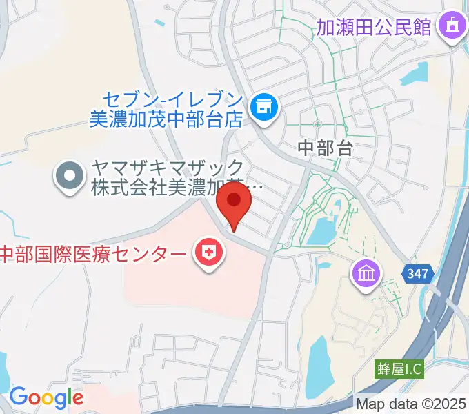 Ancestors Ukuleleの地図