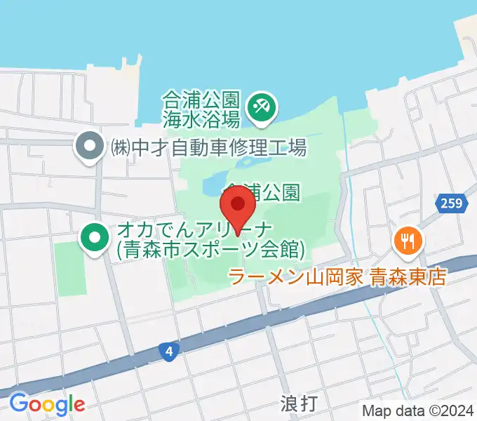 ダイシンベースボールスタジアムの地図