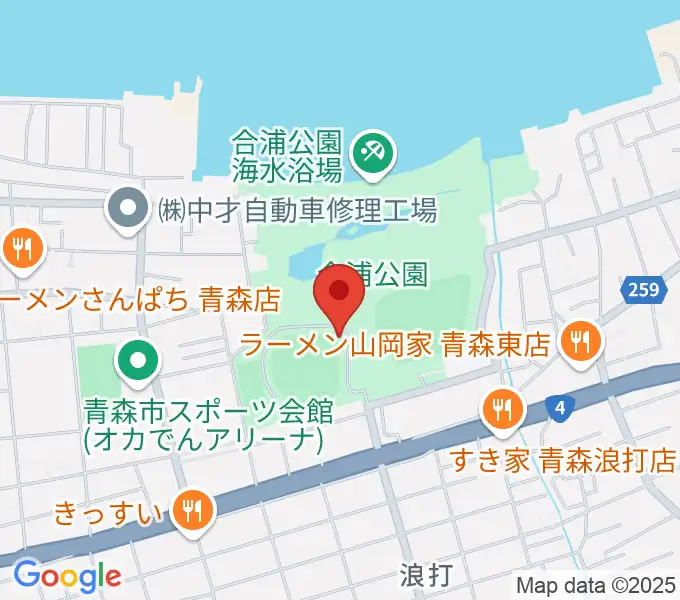 ダイシンベースボールスタジアムの地図