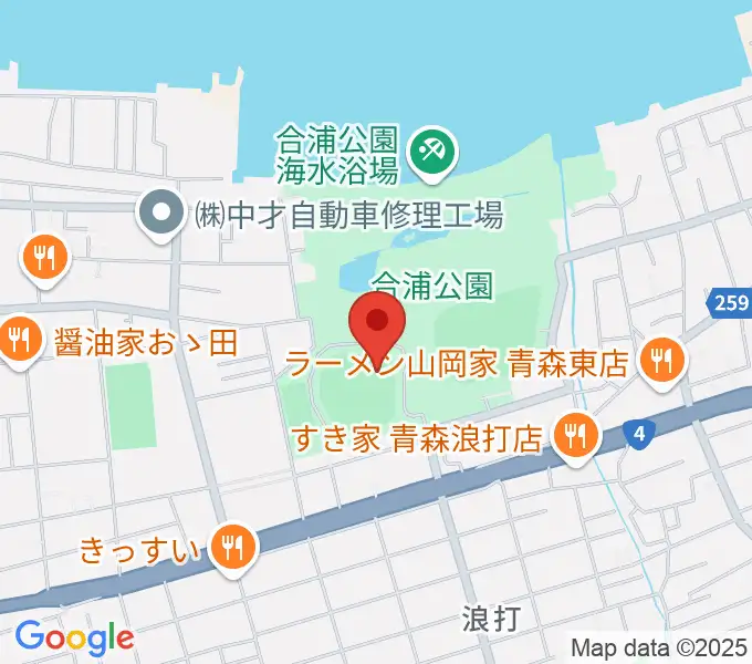 ダイシンベースボールスタジアムの地図