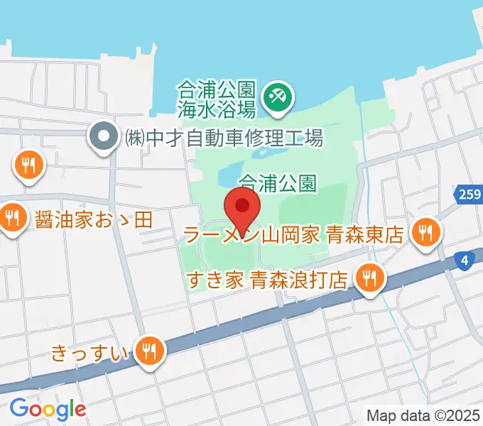 ダイシンベースボールスタジアムの地図