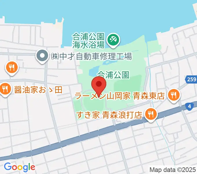 ダイシンベースボールスタジアムの地図