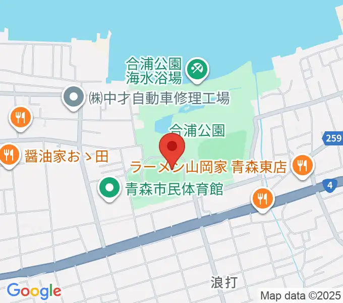 ダイシンベースボールスタジアムの地図
