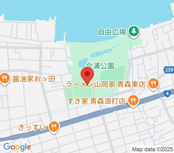 ダイシンベースボールスタジアムの地図