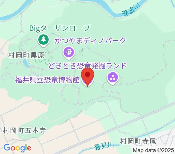 福井県立恐竜博物館の地図