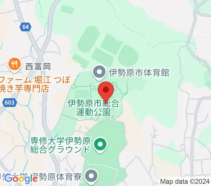 いせはらサンシャイン・スタジアム 伊勢原球場の地図