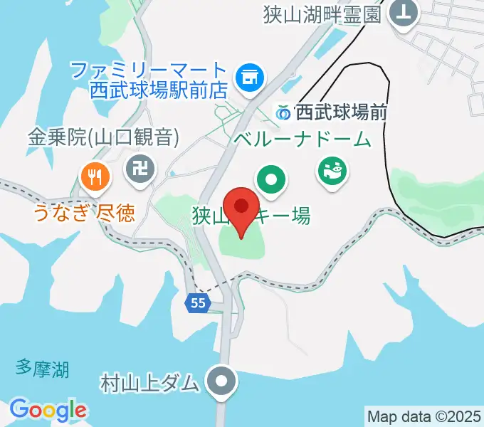 CAR3219フィールドの地図