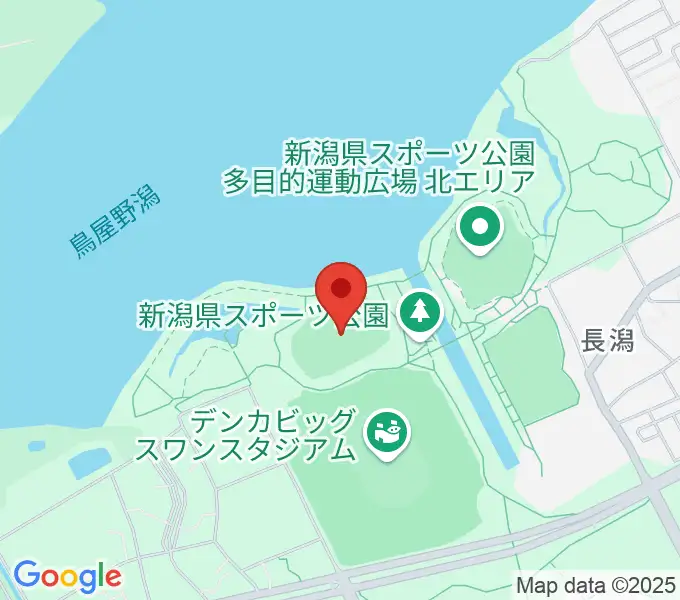 デンカスワンフィールドの地図