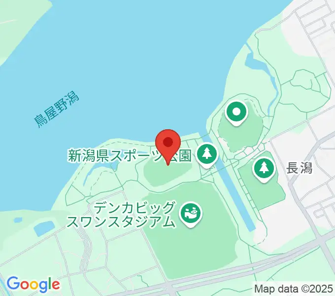 デンカスワンフィールドの地図