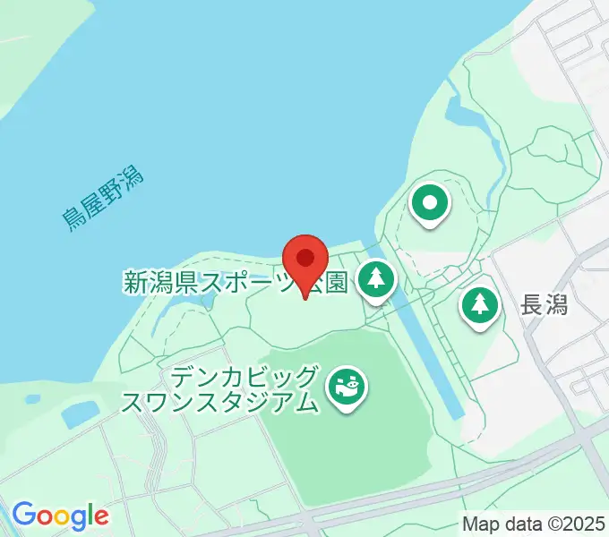 デンカスワンフィールドの地図