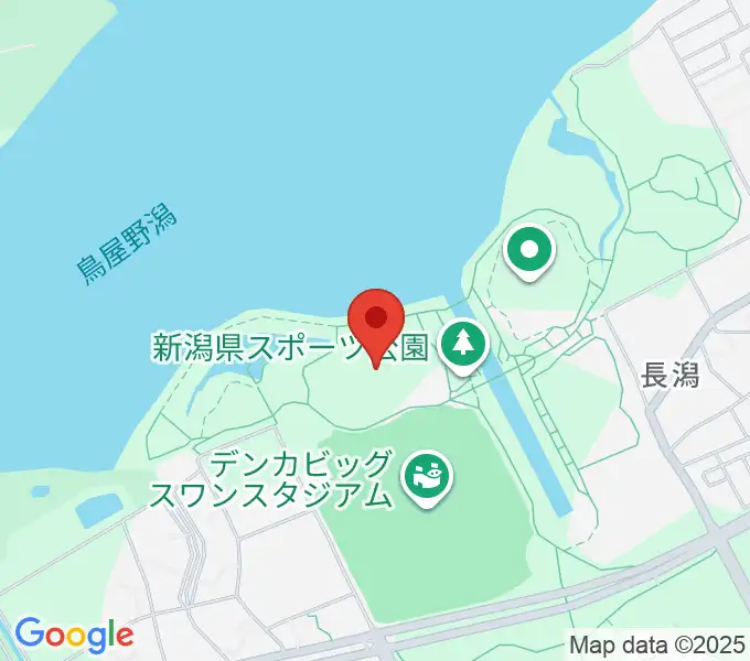 デンカスワンフィールドの地図