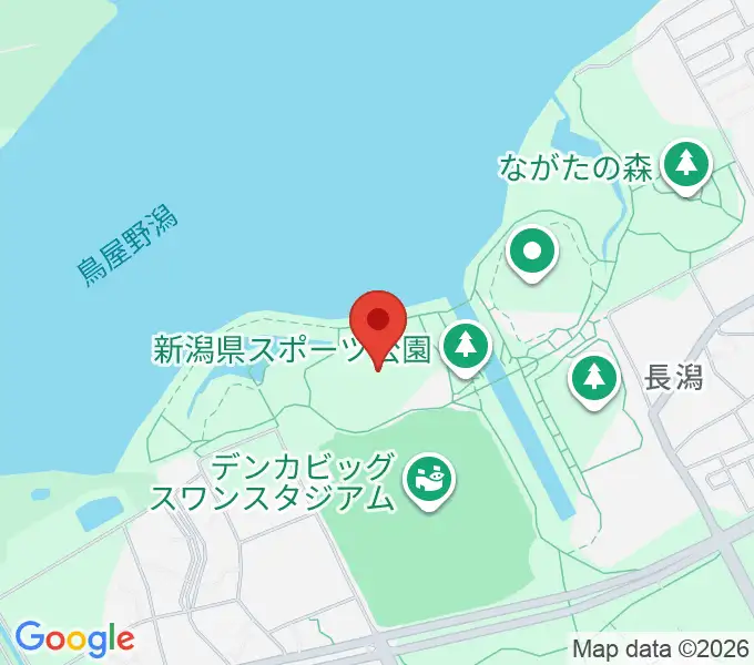 デンカスワンフィールドの地図