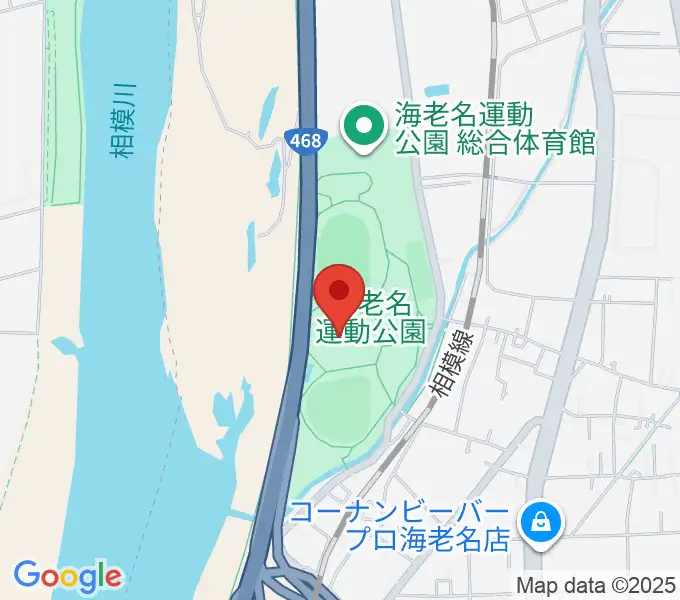 海老名運動公園多目的広場の地図