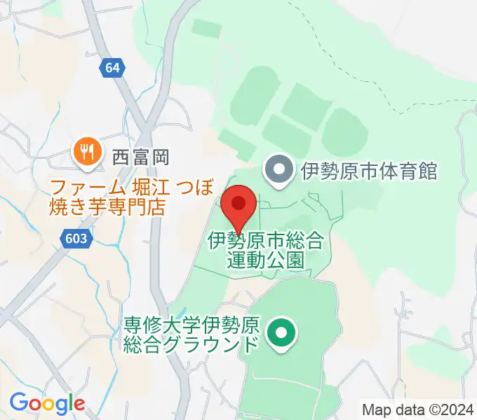 伊勢原市総合運動公園自由広場の地図