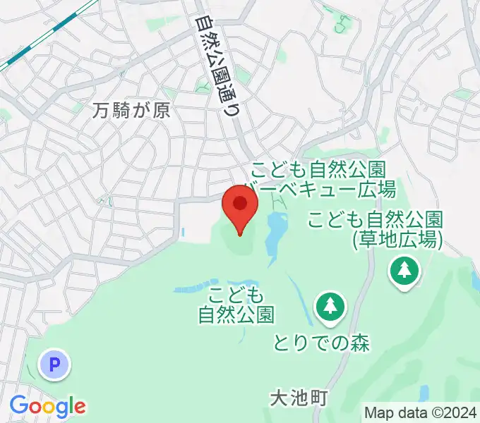 こども自然公園野球場の地図