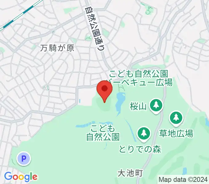 こども自然公園野球場の地図