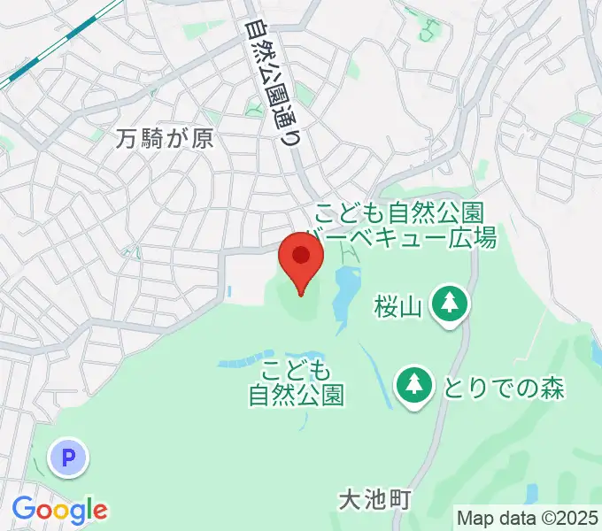 こども自然公園野球場の地図