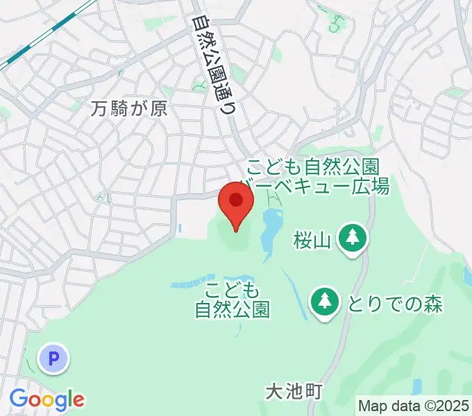 こども自然公園野球場の地図