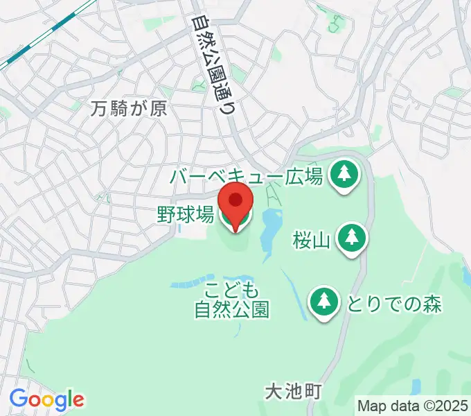 こども自然公園野球場の地図