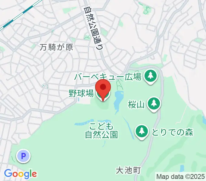 こども自然公園野球場の地図