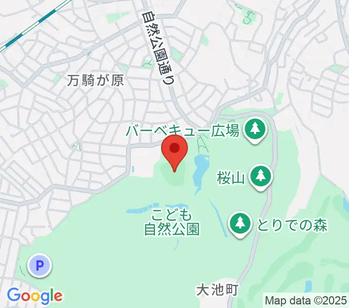 こども自然公園野球場の地図