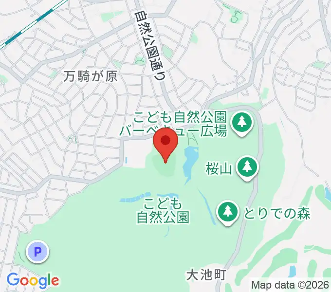 こども自然公園野球場の地図